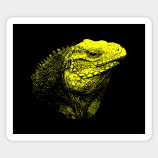 Iguana Sticker